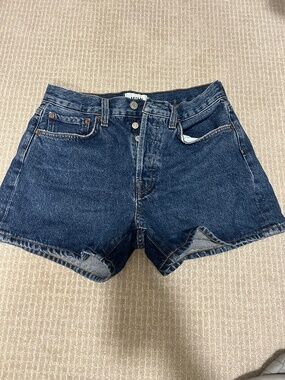 AGOLDE Parker Shorts in Enamour